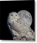 Snowy Owl On The Moon Metal Print