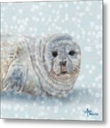 Snowy Seal Metal Print