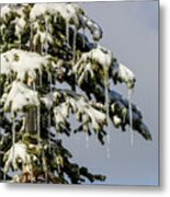 Snowy Trees 3, Mirror Lake Scenic Byway Metal Print