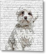 So Adorable And Cute, Maltese Dog - Brick Block Background Metal Print