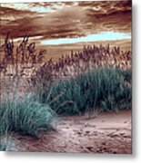 Solid Oats On The Outer Banks Fx Metal Print