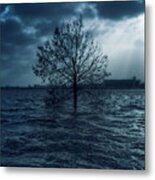 Solitario Metal Print