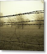 Somber Pasture Metal Print