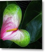 Song For A Flower Metal Print