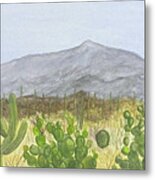 Sonoran Desert Metal Print