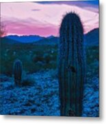 Sonoran Desert Nightfall Metal Print