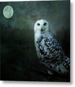 Soul Of The Moon Metal Print