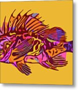 South Australian Cobbler Fish Metal Print