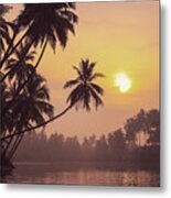 South Indian Coconut Groves At Sunrise Metal Print