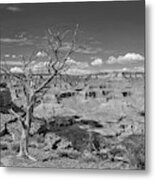 South Kaibab Trail 63 In Black And White Metal Print