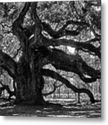 Southern Angel Oak Tree Metal Print