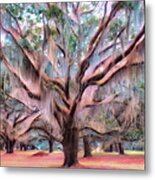 Spanish Moss Number One - Dreamy And Golden Metal Print