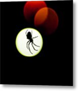 Spider Silhoutte Metal Print