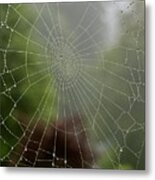 Spider Web With Dew Metal Print