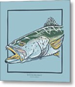 Spotted Seatrout Metal Print