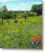 Spring At It's Finest Metal Print