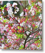 Spring Blossoms Metal Print