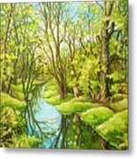 Spring Creek Metal Print