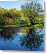 Spring Day At The Arnold Arboretum  Jamaica Plain Ma Reflection Metal Print