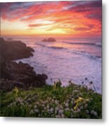 Spring Metal Print