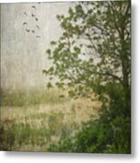 Spring Sunrise In The Valley Metal Print