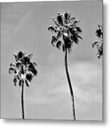 Spring Tour Bw03 Metal Print