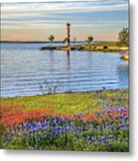 Spring Wildflowers Of Lake Buchanan Metal Print