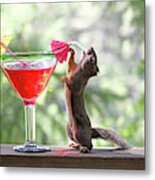 Squirrel At Cocktail Hour Metal Print
