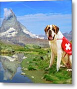 St. Bernard Dog In Switzerland Metal Print