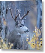 Stag In Autumn Woods Metal Print