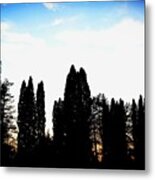 Standing Tall I'm The Sunset Metal Print