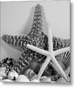 Starfishes And Seashells 3 Metal Print
