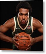 Sterling Brown Metal Print