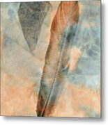 Stoned And Feathered Metal Print