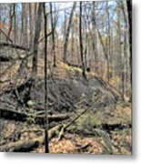 Stoned Forest Metal Print