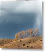 Storm Over An Alberta Fall Pasture Metal Print