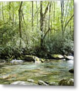 Stream In Greebrier Area, Great Smoky Mountains National Park Metal Print