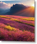Stunning Landscape 01 Flower Field Sunrise Metal Print