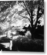 Summer At Quiet Waters No.7 - Infrared Black And White Film Photograph Metal Print