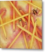 Summer Bee Gone Metal Print