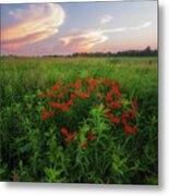 Summer Color On The Prairie Metal Print