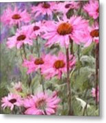 Summer Echinacea Flower Plants Metal Print