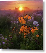 Summer Glory Metal Print