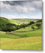 Summer Meadow, Yorkshire Dales,england, Uk Metal Print