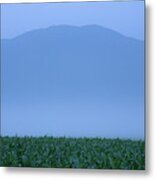 Summer Mist Metal Print