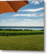 Summer On Seneca Lake Vineyards Metal Print