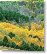 Summers Meadow Eastern Sierras California Metal Print