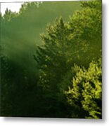 Sun Beams Through The Forest Trees Metal Print