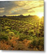 Sun Rays Over The Tucson Mountains, Arizona Metal Print