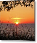 Sun Touched Metal Print